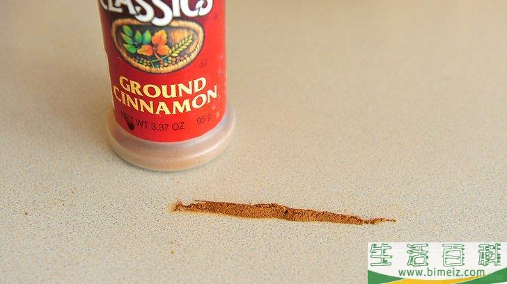 怎么使用天然方法去除蚂蚁