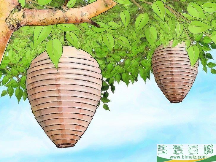 怎么摆脱大黄蜂