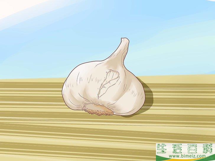 怎么种植大蒜