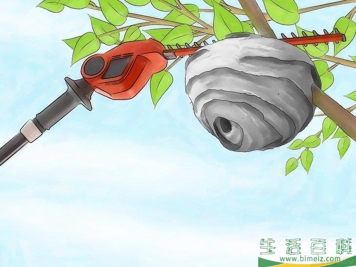 怎么摆脱大黄蜂