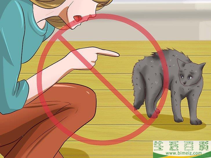 怎么驱赶猫