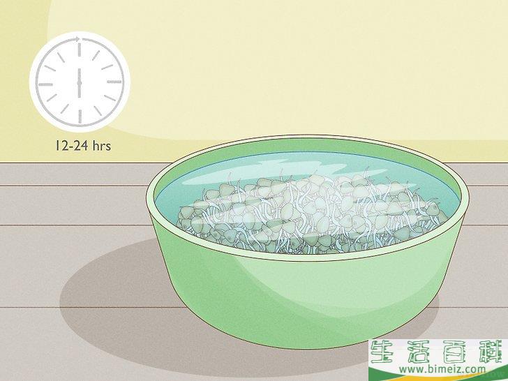 怎么种植幼芽