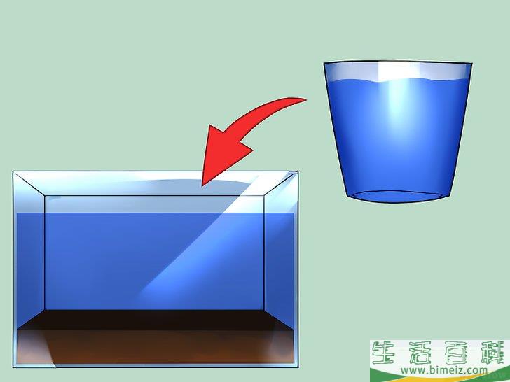怎么建造自维持的生态系统
