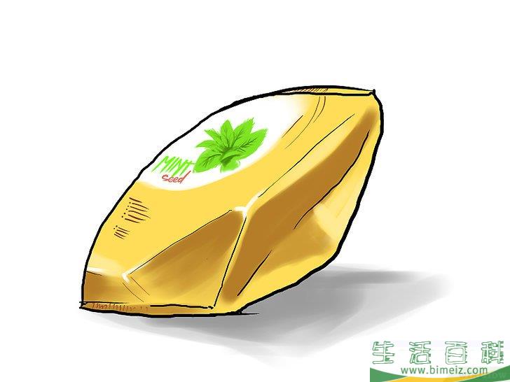 怎么种植薄荷