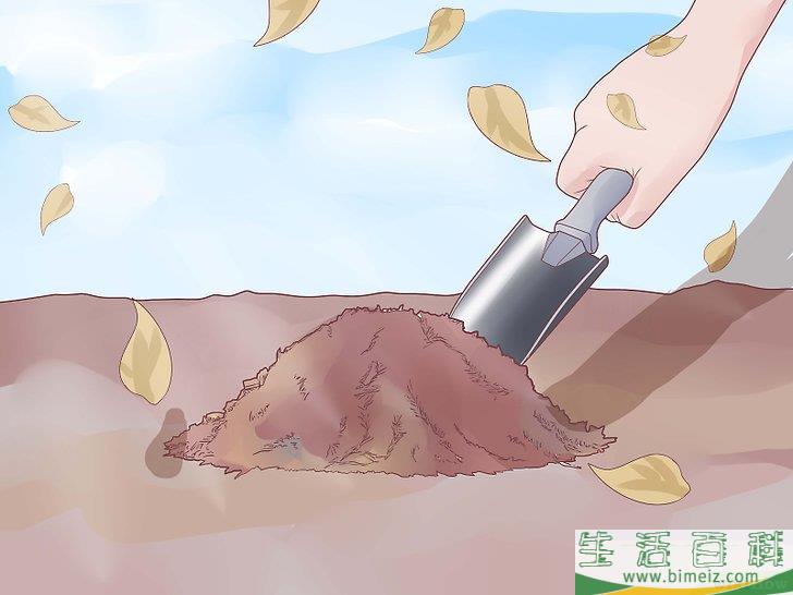 怎么种植大蒜