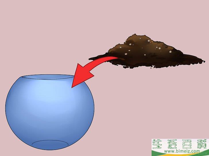 怎么建造自维持的生态系统