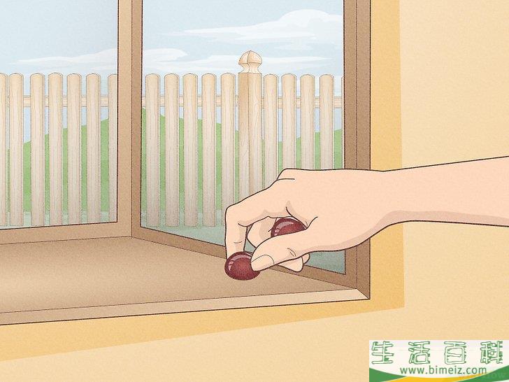 怎么驱赶蜘蛛