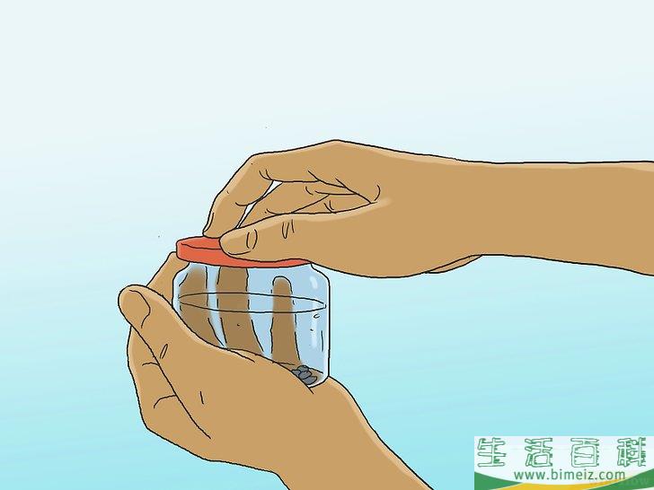 怎么培育松树