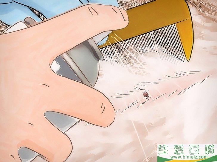 怎么去除屋子周围的蜱虫