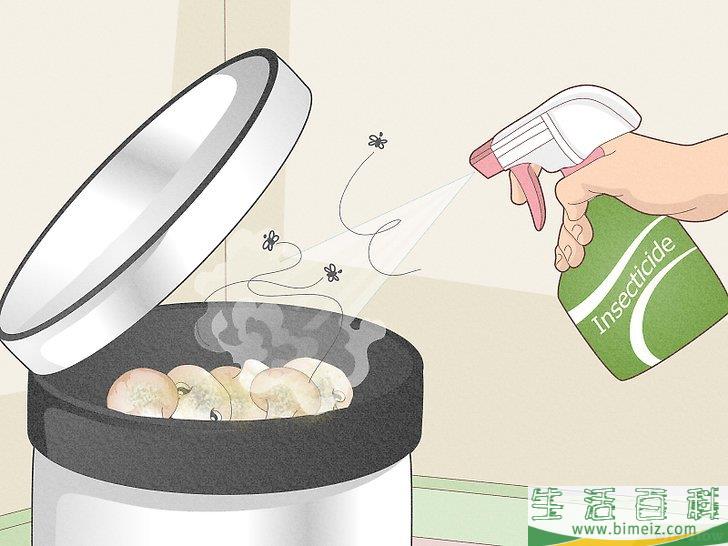 怎么驱赶蜘蛛