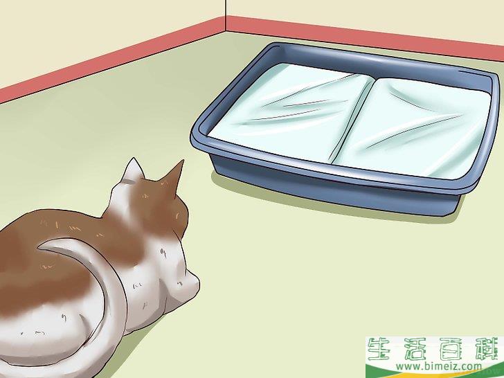 怎么驱赶猫