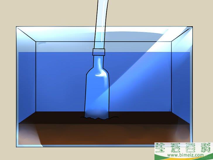 怎么建造自维持的生态系统