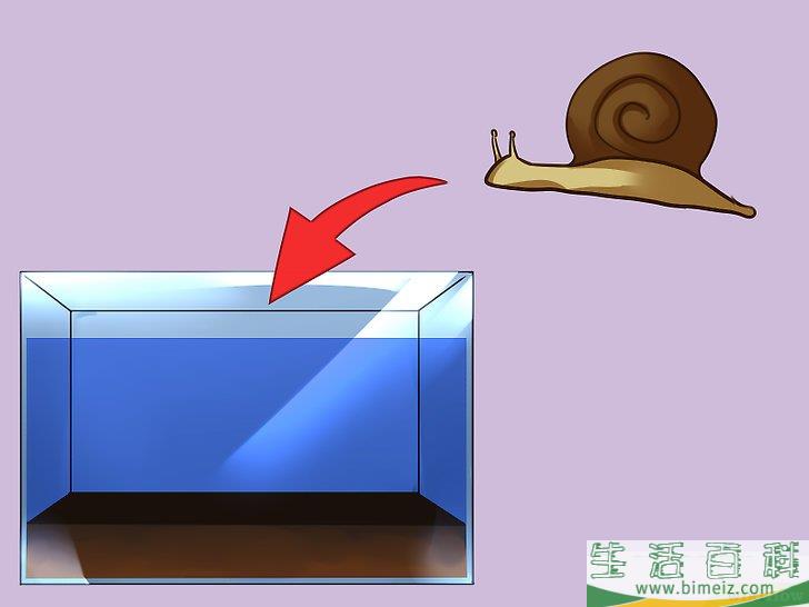怎么建造自维持的生态系统