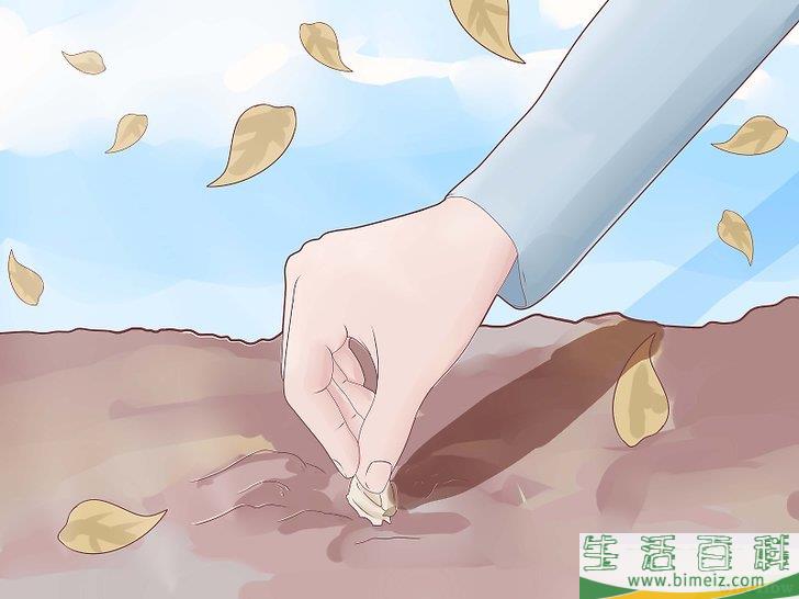 怎么种植大蒜