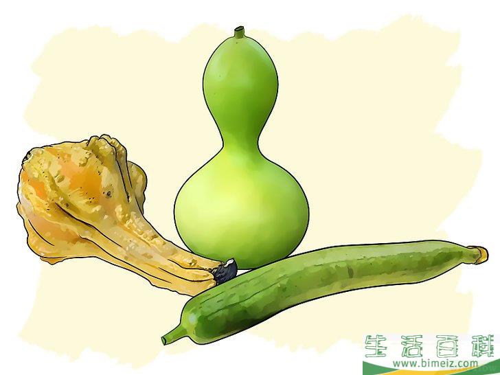 怎么种植葫芦