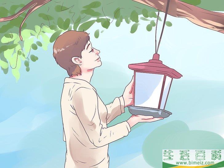 怎么把啄木鸟吸引到你的庭院中来