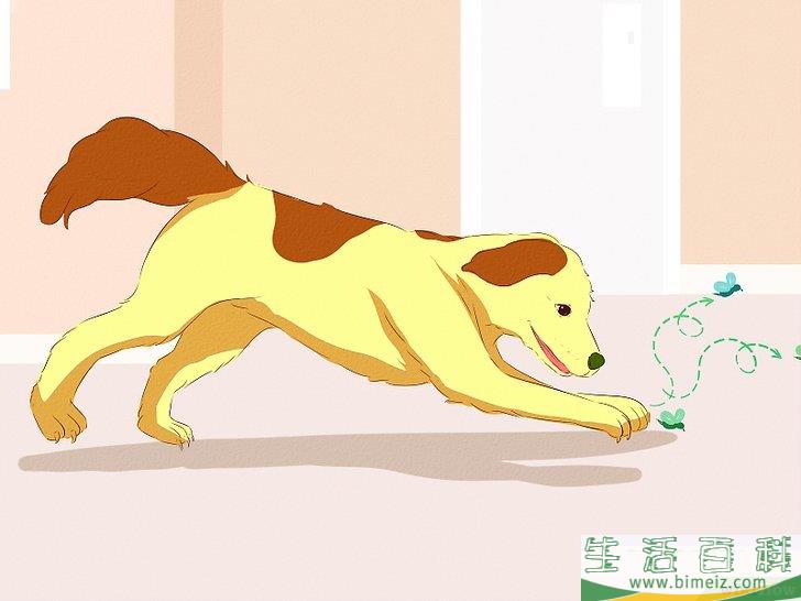 怎么驱赶苍蝇