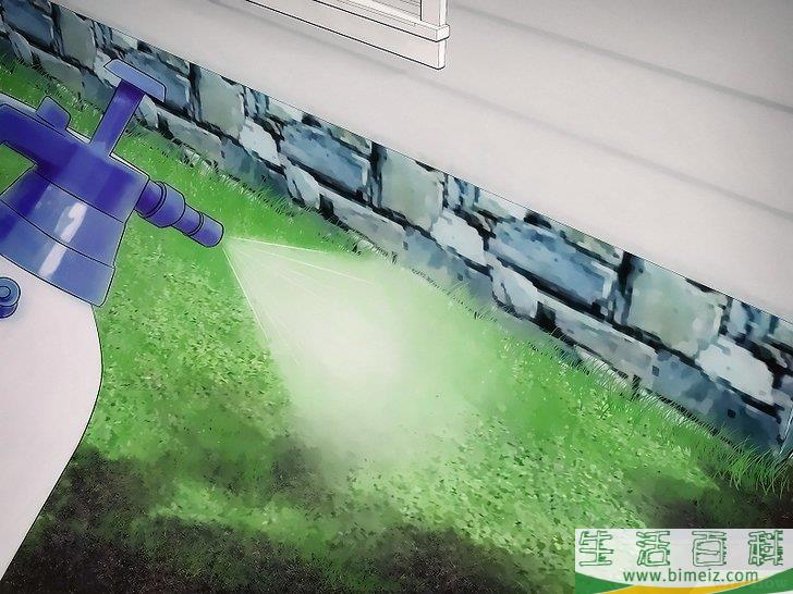 怎么去除屋子周围的蜱虫