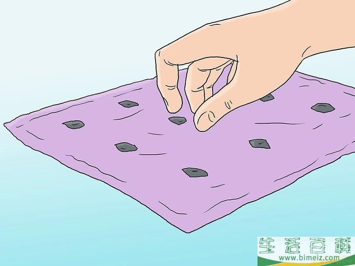 怎么培育松树