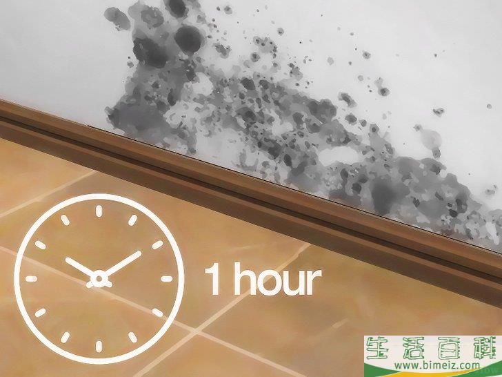 怎么用醋除霉