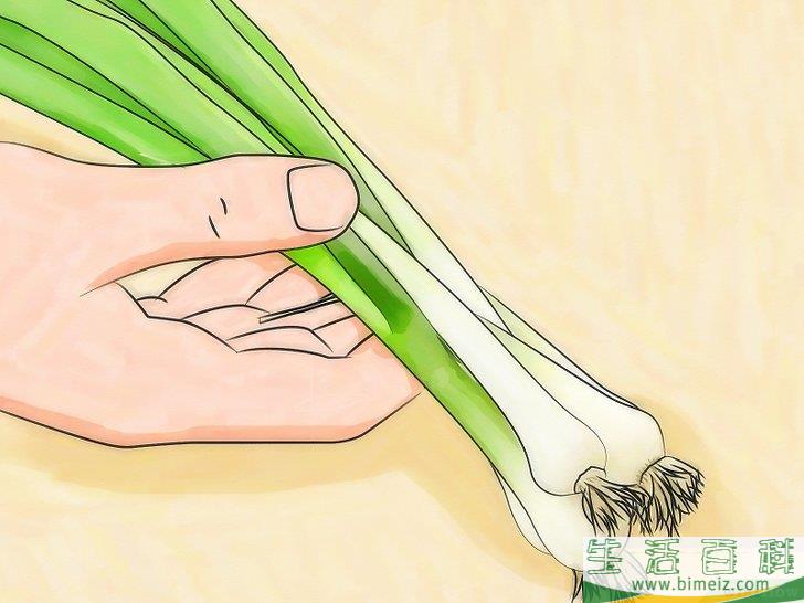 怎么种植大葱