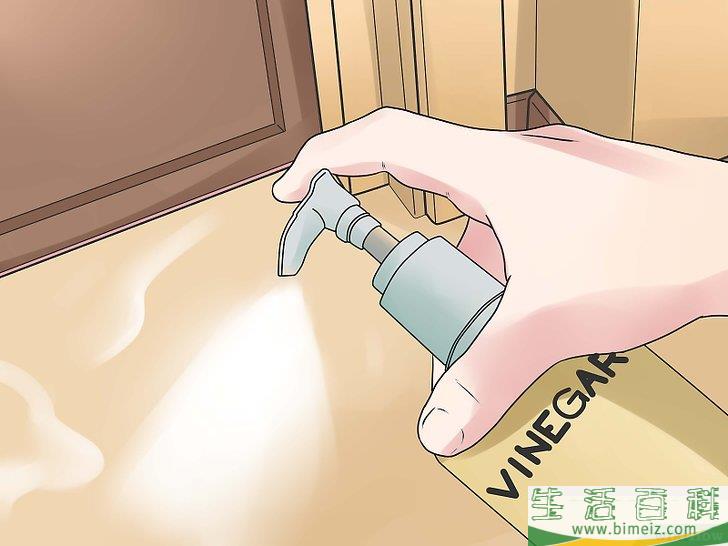 怎么去除蚂蚁