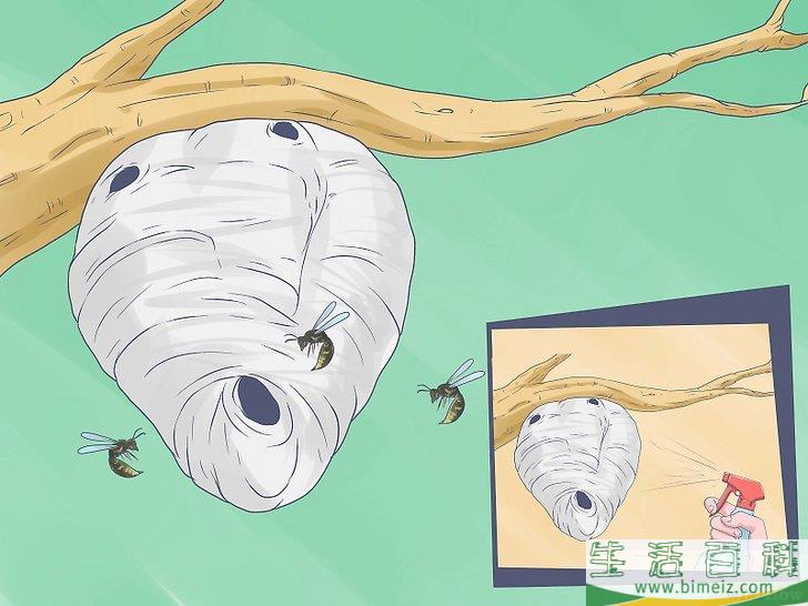 怎么消灭黄色胡蜂