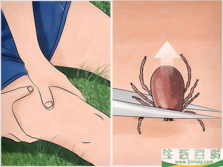 怎么去除屋子周围的蜱虫