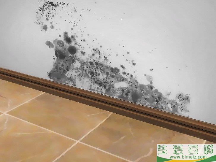 怎么用醋除霉