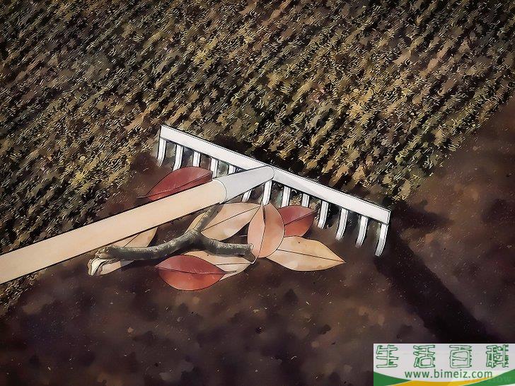 怎么去除屋子周围的蜱虫