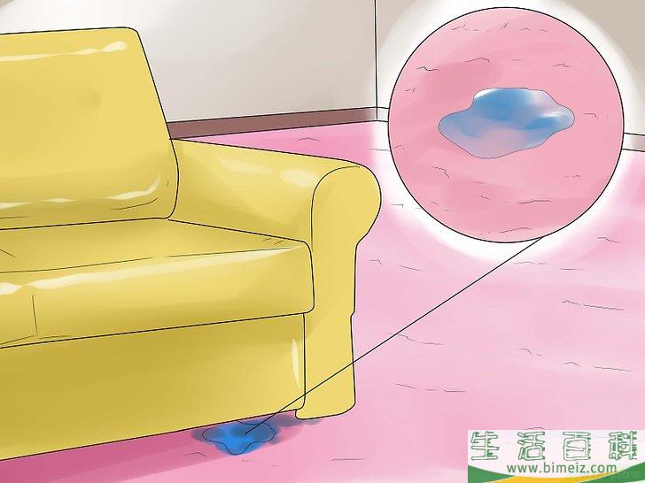 怎么清除地毯上的宠物尿渍