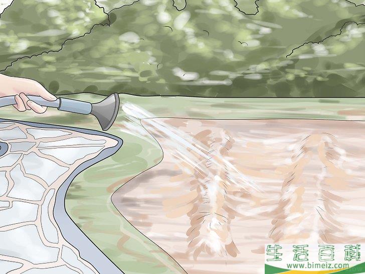 怎么种郁金香