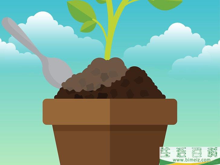 怎么除去室内植物上的霉菌