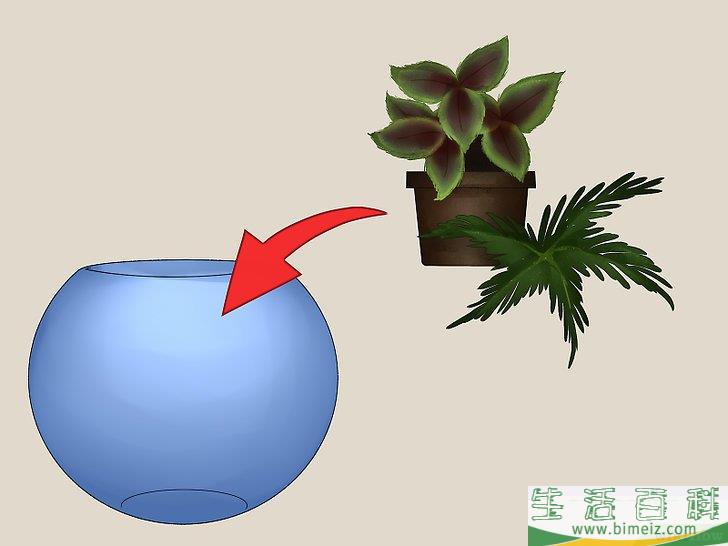 怎么建造自维持的生态系统