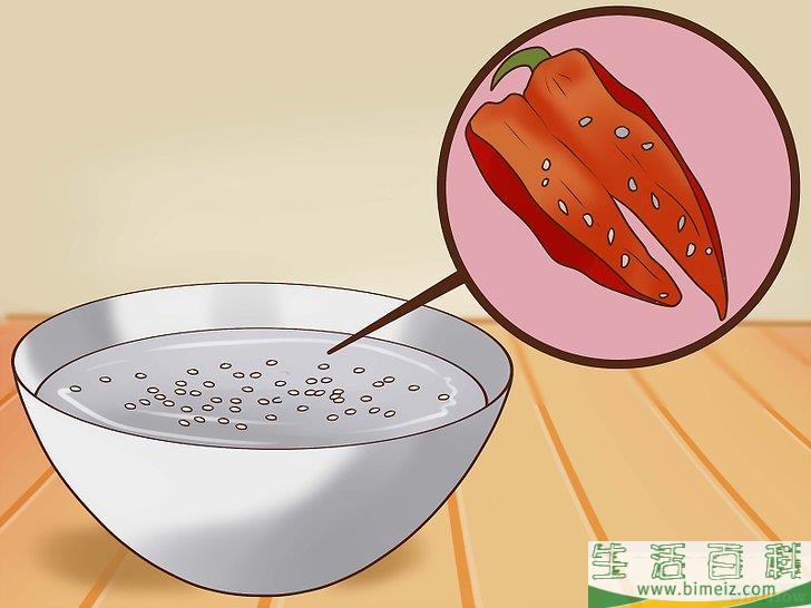 怎么种辣椒