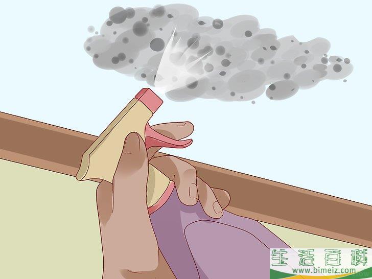 怎么清除天花板上的霉菌