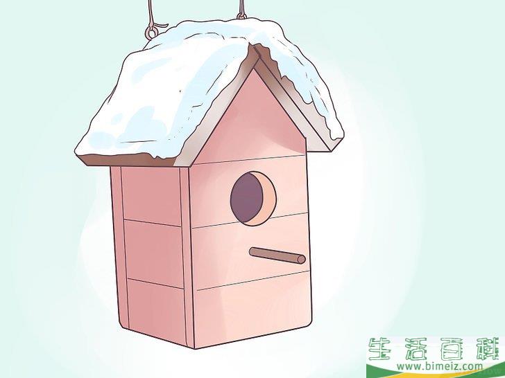 怎么把啄木鸟吸引到你的庭院中来