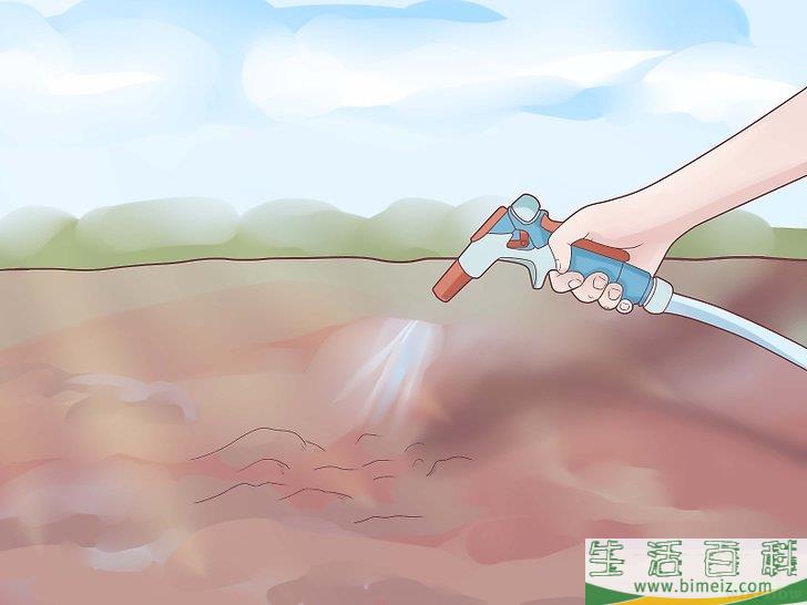 怎么种植大蒜