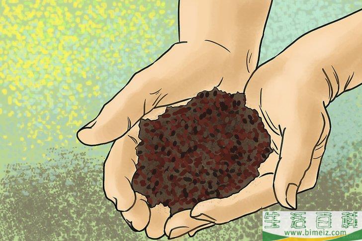 怎么种蓝莓