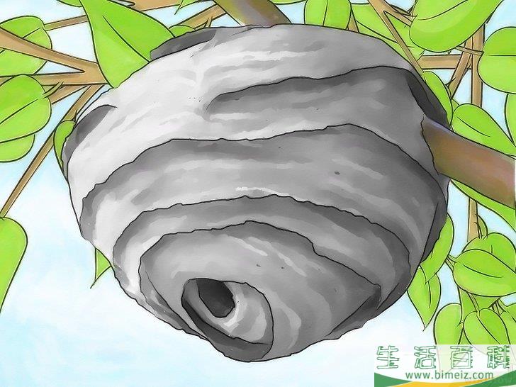 怎么摆脱大黄蜂