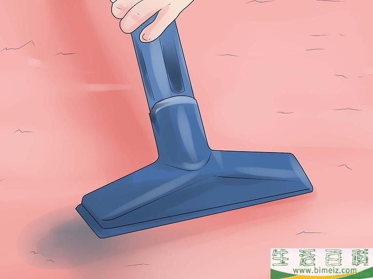 怎么清除地毯上的宠物尿渍