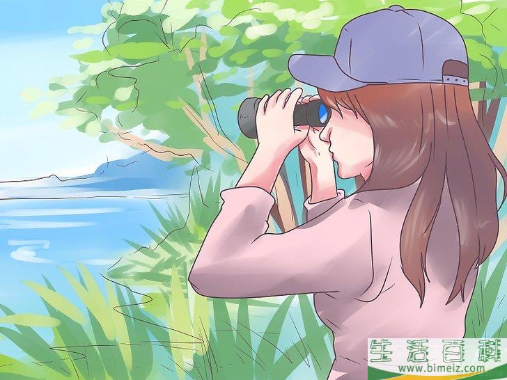 怎么把啄木鸟吸引到你的庭院中来