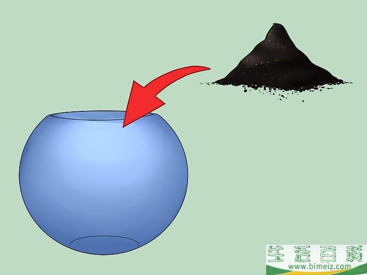 怎么建造自维持的生态系统
