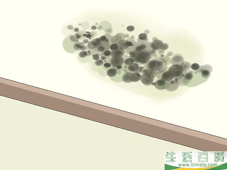 怎么清除天花板上的霉菌