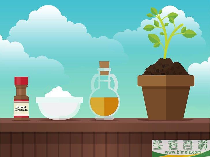 怎么除去室内植物上的霉菌