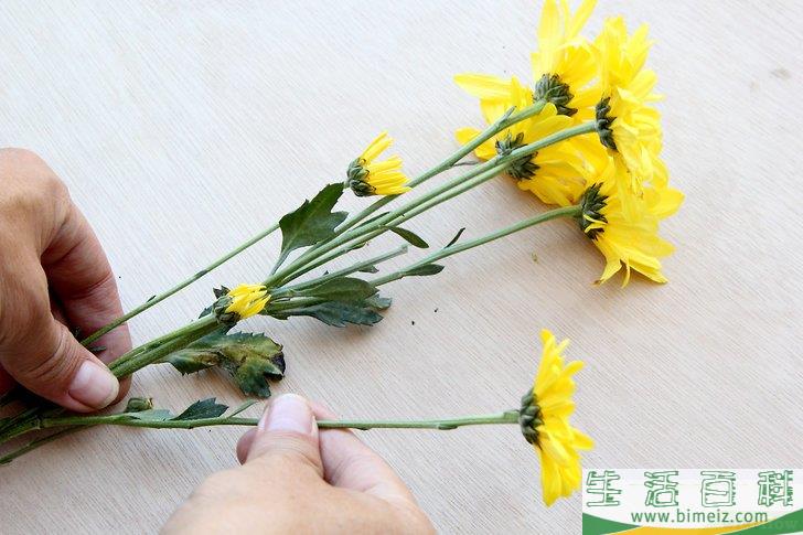 怎么照顾鲜花