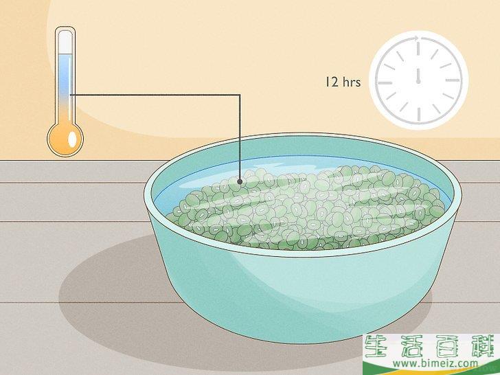 怎么种植幼芽