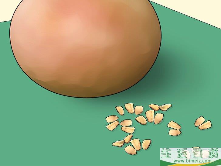 怎么种植葫芦