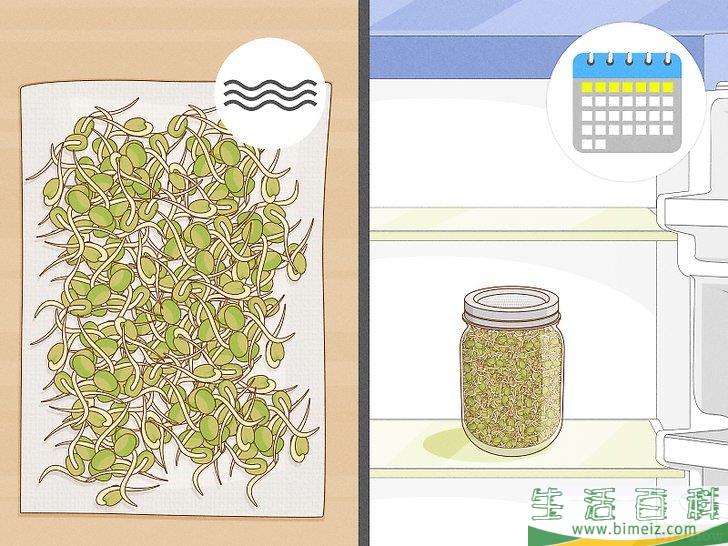 怎么种植幼芽