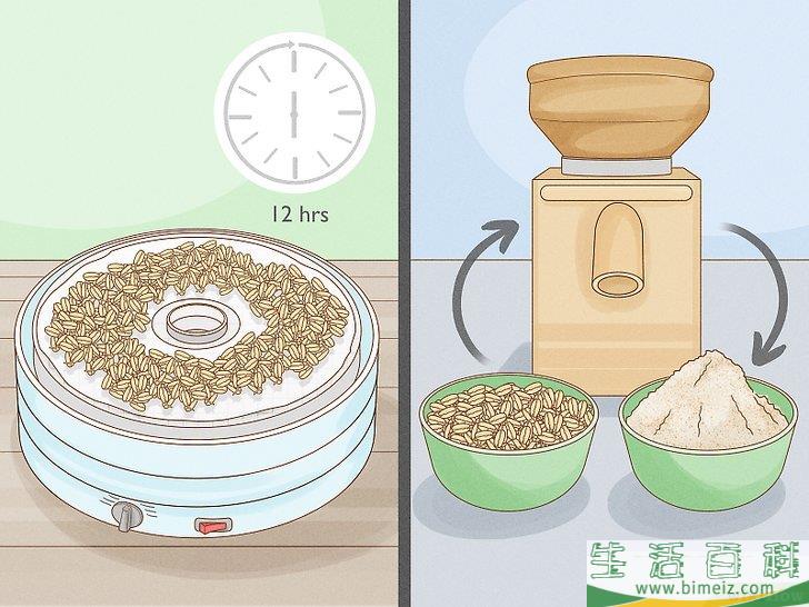 怎么种植幼芽